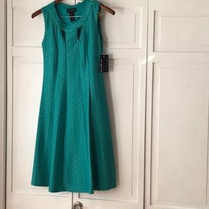 En focus studio dress